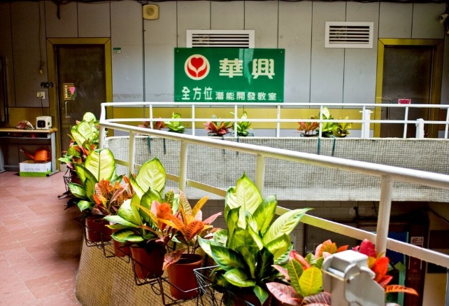 華興補習班歷史